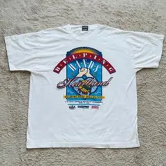 90s USA製 FRUIT OF THE LOOM Tシャツ シングルステッチ
