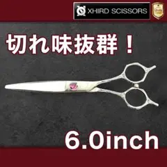 Item thumbnail for item 3a200e16-eb2f-46d1-9503-4d03c1fd2760