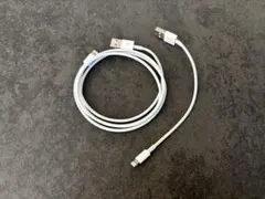 1m・約15cm Lightningケーブル２種