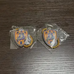 Ｊリーグメタルチャーム清水エスパルス