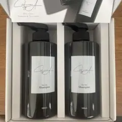 値下げ‼️鈴木亜美様プロデュース カフネバイエーシャンプートリートメント500ml 2025年最新】鈴木亜美 シャンプーの人気アイテム - メルカリ