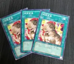 遊戯王　突然変異　3枚セット