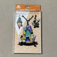 ディズニーランド 40周年 バッグチャーム ハロウィン キーホルダー ガーランド