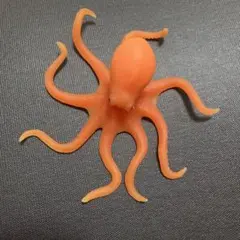 ミズダコ オーシャンアタック　&co デアゴスティーニ　アンドコ