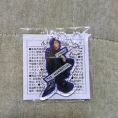 NCT127 ミニアクリルキーホルダー ジャニー