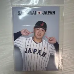 岡本和真 侍ジャパン