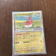【PSA10】連番 シャリタツ チャンピオンシップ2025 マスターボール⑩ 2025年最新】シャリタツ psa10の人気アイテム - メルカリ