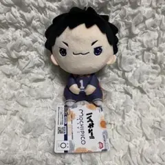 ハイキュー　もちぴこ　ぬいぐるみ　澤村大地