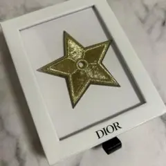 Christian Dior ピンブローチのサムネイル