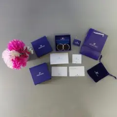 スワロフスキー Swarovski Stone フープピアスパヴェ