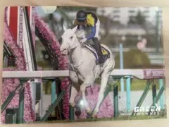 グリーンチャンネル 2022年競馬スケジュール クリアファイル