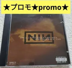 NIN And All That Could Have Been promo