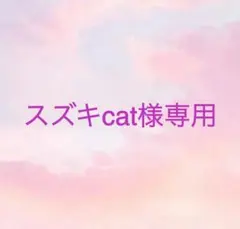 スズキcat様 リクエスト 2点 まとめ商品