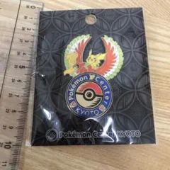 2025年最新】ポケモンセンターキョウト ピンズの人気アイテム - メルカリ