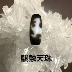 Item thumbnail for item c450aa24-3ef4-4635-a598-41c9d2095990