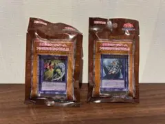 遊戯王 アクリルブロック Vol.5 2種セットのサムネイル