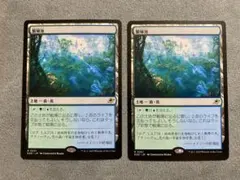 繁殖池/Breeding Pool[EOE]2枚