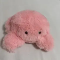ぬいぐるみ kasumioomine 大嶺かすみ many's shop - メルカリ