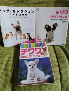 2025年最新】佐藤美津子の人気アイテム - メルカリ