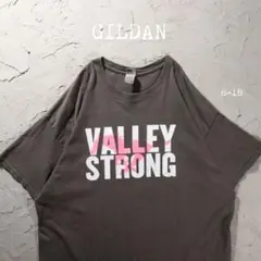 GILDAN Tシャツ VALLEY STRONG 馬のサムネイル