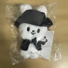 StrayKids スキズ SKZOO COSTUMEPLUSH リービット