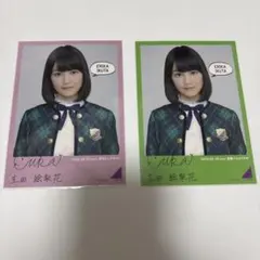 乃木坂46 生写真　生田絵梨花　透明な色　生写真サイズステッカー　特典
