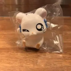 とっとこハム太郎[ぷにぷにし隊なのだ！] リボンちゃん