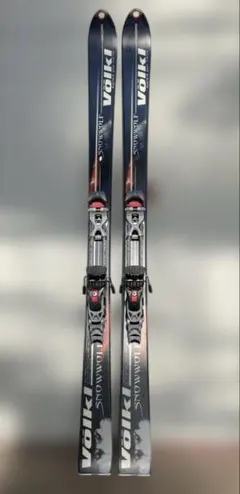 2026年最新】ファットスキーの人気アイテム - メルカリ