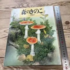 2025年最新】小林路子の人気アイテム - メルカリ