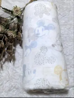 エイデンアンドアネイ ディズニー おくるみ ミッキー