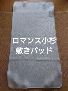 ロマンス小杉 アイス眠EX 敷きパッド
