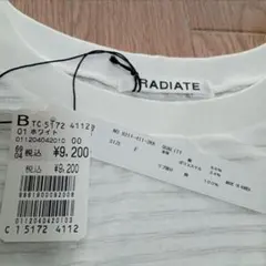 Item thumbnail for item 4ae7a3e9-4229-4de6-b67c-69e120de7301