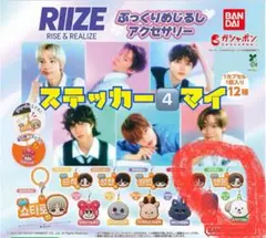 RIIZE ガチャポン めじるしアクセサリー　アントン