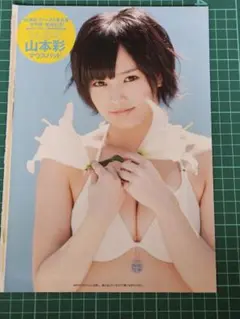 藤崎ライ様 リクエスト 2点 まとめ商品