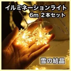 新品★イルミネーション　ライト　LED 雪の結晶　6m 40電球　２本　セット