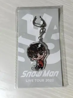 SnowMan 向井康二 すのチルぶら下がりシリーズ アクリルキーホルダー