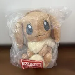 2023 Pokemon Collection イーブイ ぬいぐるみ