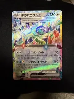 ポケモンカード テラパゴスex RR