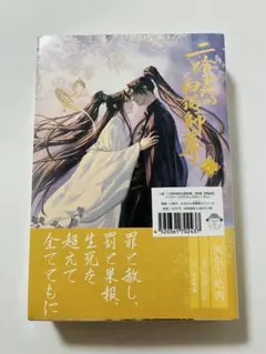 2025年最新】二哈和他的白猫師尊 特装版の人気アイテム - メルカリ
