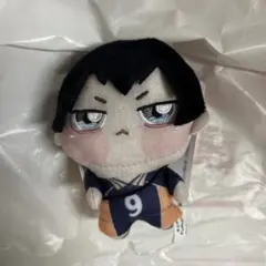 2025年最新】ハイキュー 影山飛雄 ぬいぐるみの人気アイテム - メルカリ