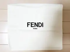 FENDI収納袋