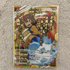神さーま 様専用イナズマイレブンGO TCG スーパーザナーク - メルカリ