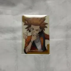 【Dr.STONE】ストーンフェス クリアカード 陽