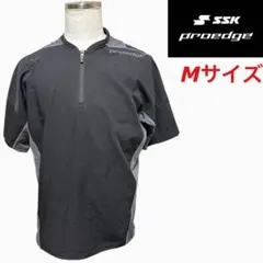 Item thumbnail for item 9fff68ad-62ce-4f6e-80fb-73a6d6289871