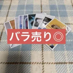 西畑大吾 公式写真 8枚セット