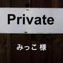 【みっこ様専用‼︎‼︎】