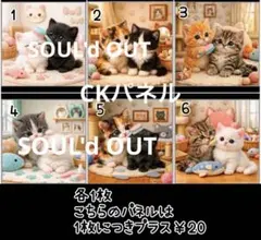 猫カフェMOCHA 梅田店 2026 Summerトレカ わくわく夏祭り - メルカリ