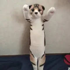 Item thumbnail for item 96331c9a-23af-4569-8376-043c05adc558