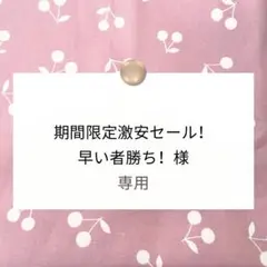 期間限定激安セール！早い者勝ち！様専用【巾着/ランチョンマット】ハンドメイド注文