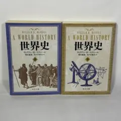 【上下巻セット】世界史 ウィリアム・H．マクニール/増田義郎 中公文庫